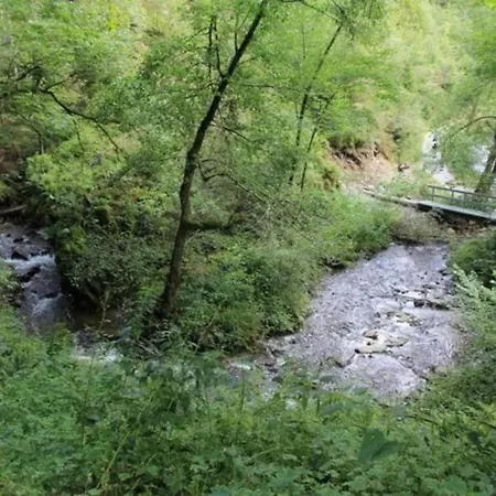 Pondside Forest Σπίτι διακοπών *