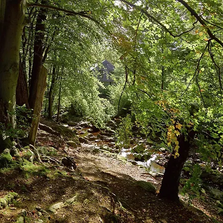 Nyaraló Pondside Forest